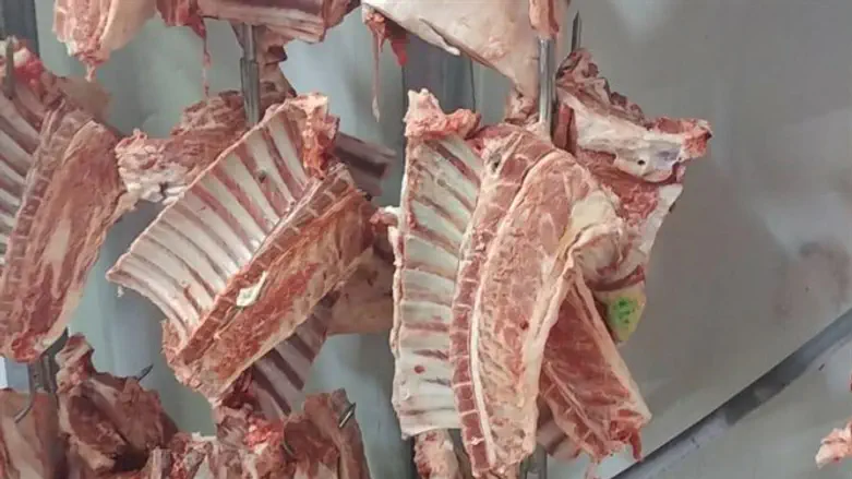 בשר טרף בכפר טמרה