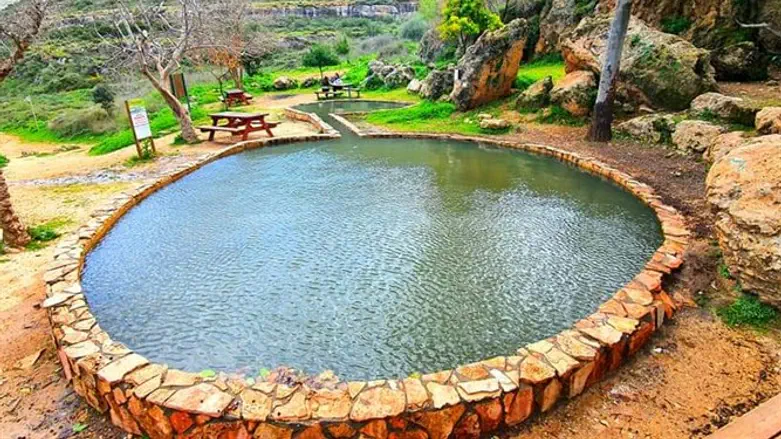 מעיין בבנימין