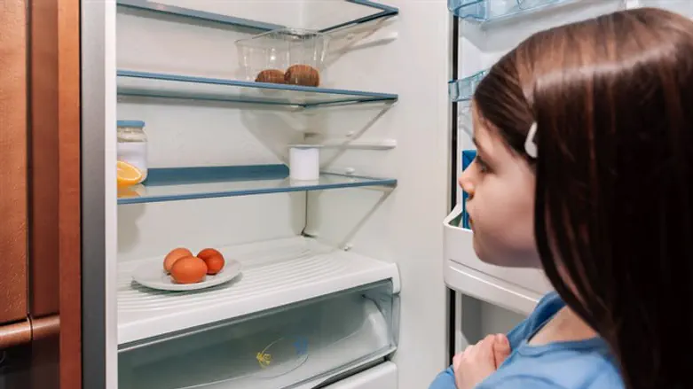 מקרר ריק/ילדה רעבה/עוני