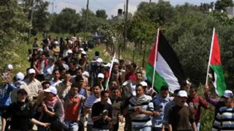 צעדת יום האדמה. ארכיון