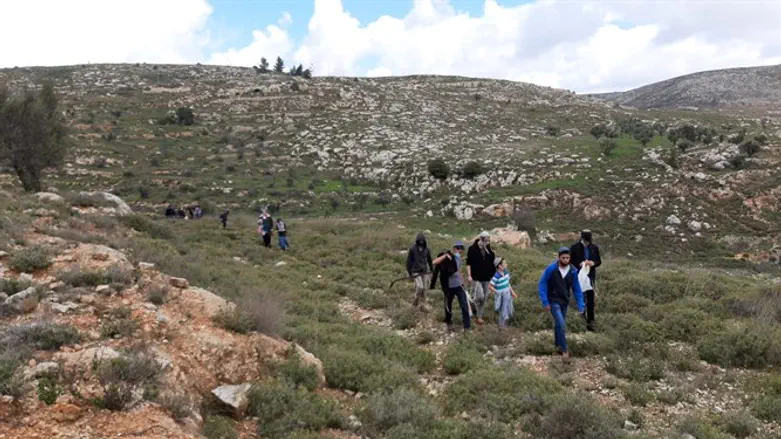 The new hiking trail