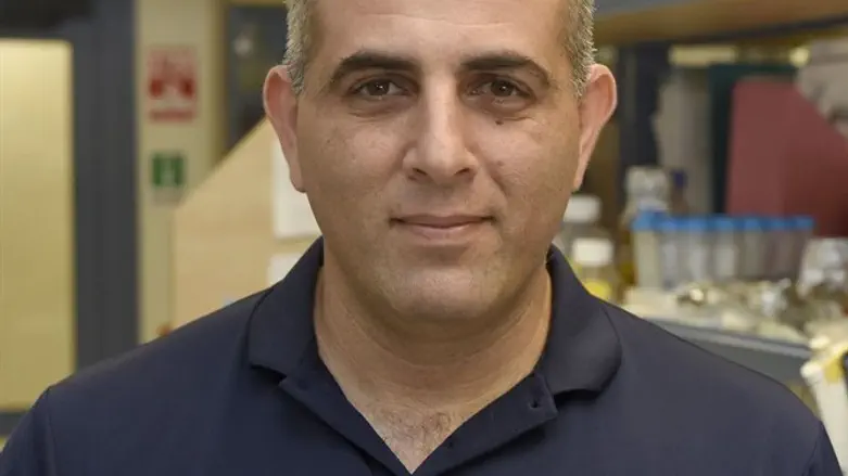 פרופ' רועי עמית 