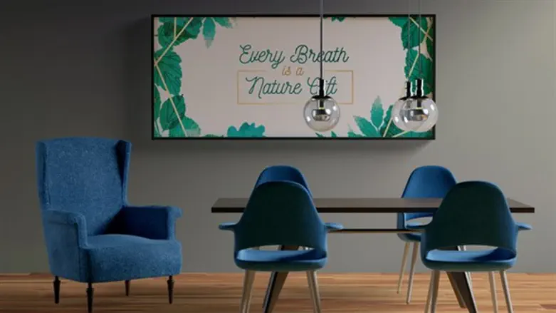 למה לרכוש ציפורים ממתכת באינטרנט?