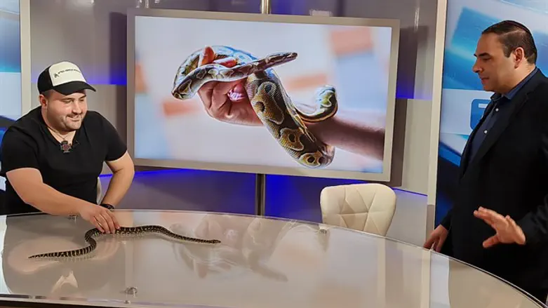 Гилад Хитман в студии 7 канала