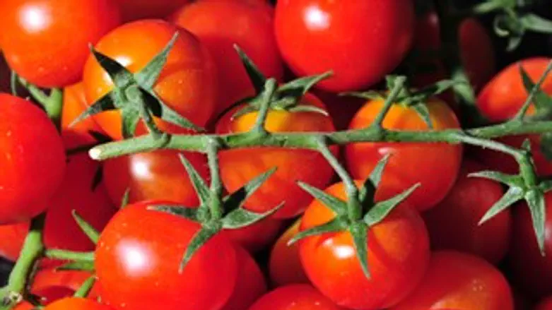 מיצאים שרי. אילוסטרציה