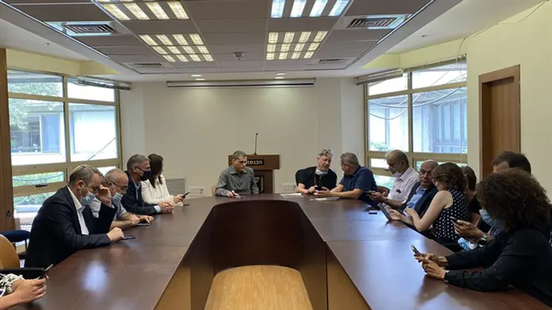 פרופ' גולדרייך בכנסת