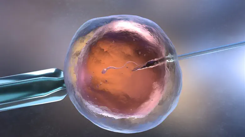 IVF