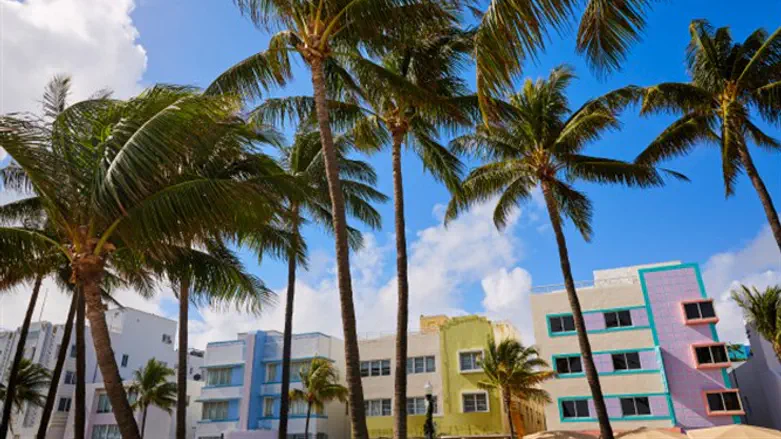 מיאמי ביצ' פלורידה