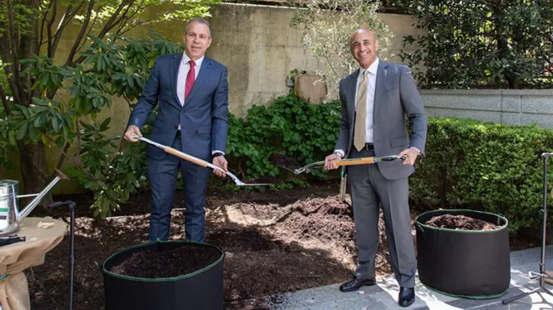 UAE, Israeli ambassadors plant tree