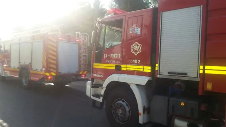 אילוסטרציה