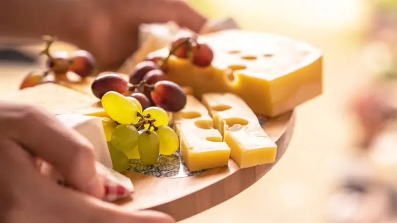 פלטת גבינות