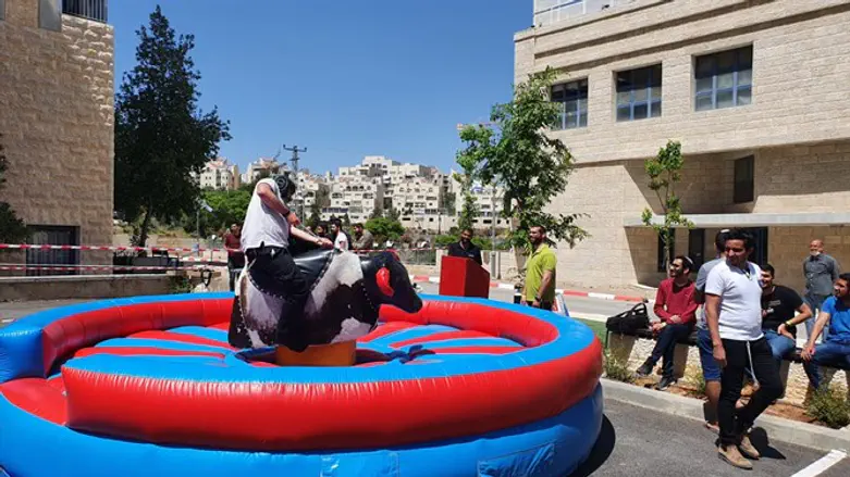 הפנינג חזרה ללימודים