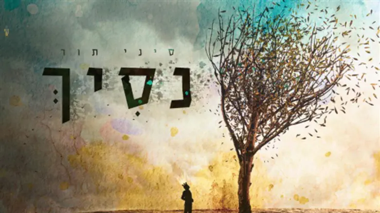 נסיך - סיני תור