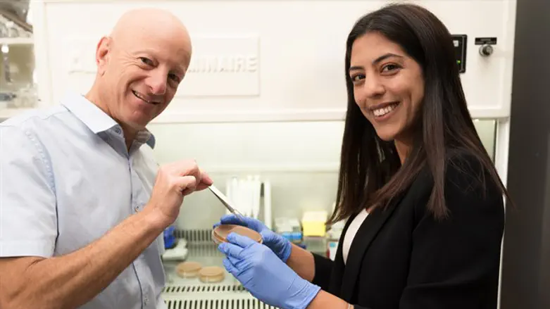 מבצעי המחקר