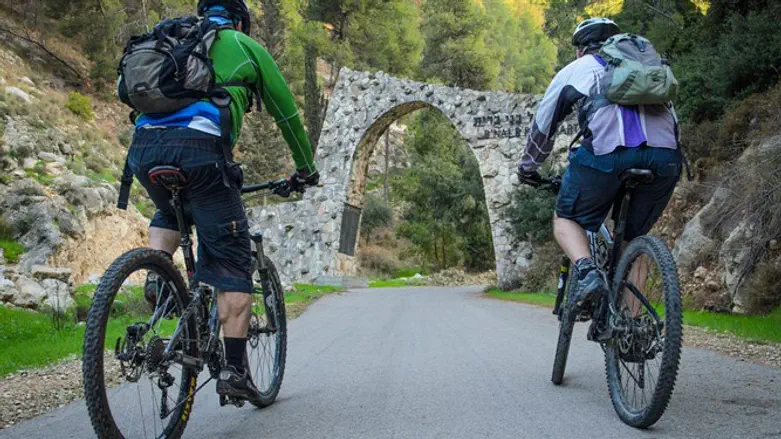 יער הקדושים