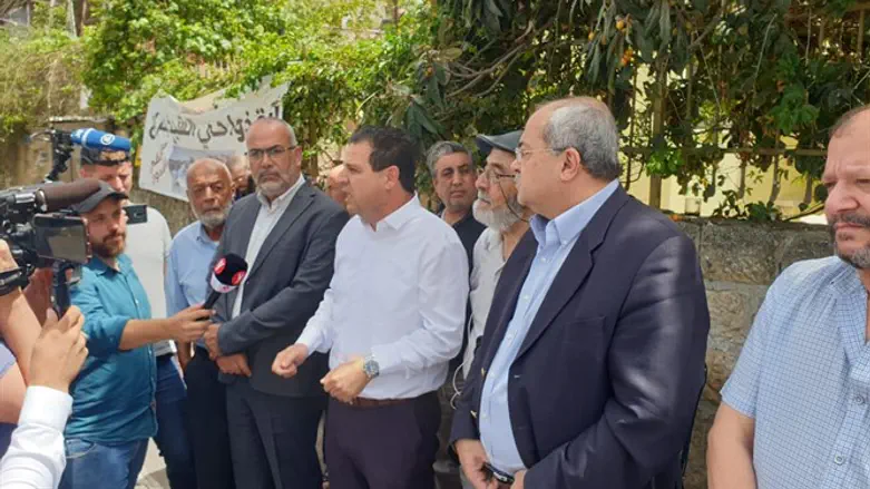 MKs from the Joint Arab List