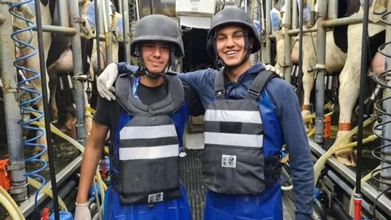 החולבים ברפת נחל עוז