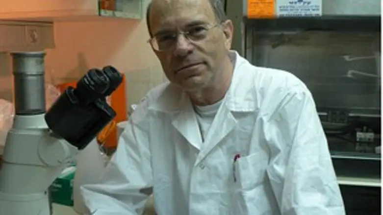 פרופ' יוסף שילה