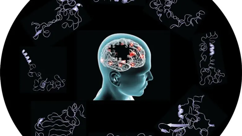 Researchers from Hebrew U & Penn State study possible cause of neurodegenerative diseases