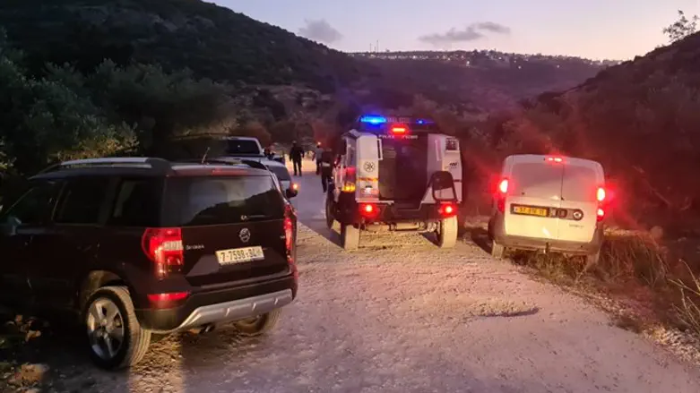 הפרת סדר. ארכיון