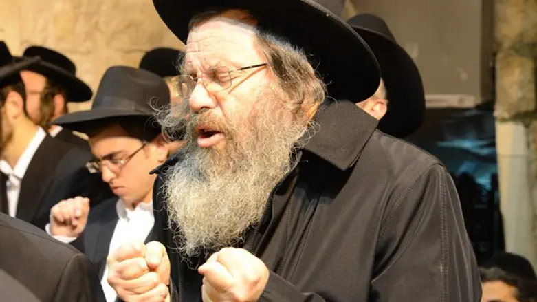 הרב דוד כהן