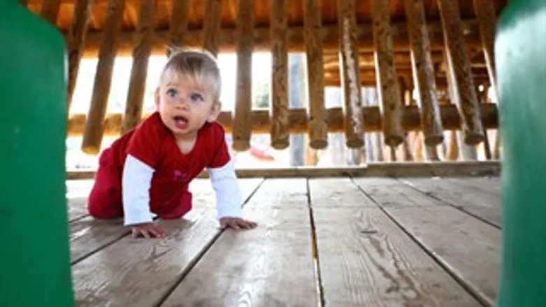 מי שומר עליהם?