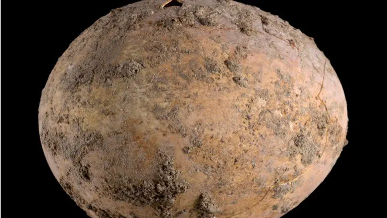 The egg from the excavation