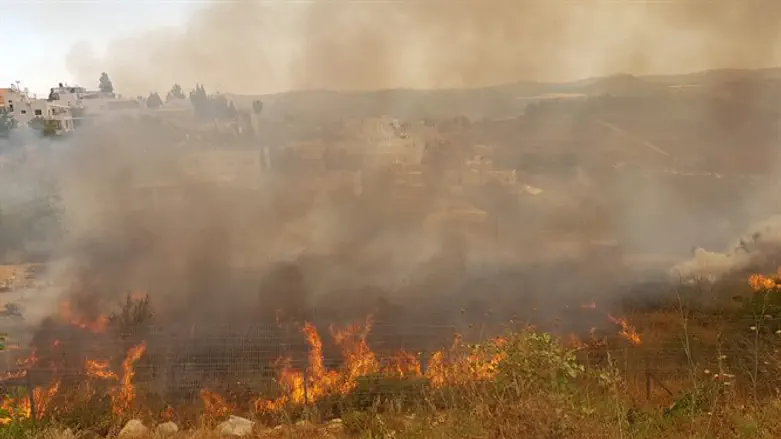 Wildfire (illustrative)