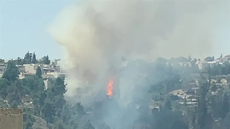 השריפה מתפשטת