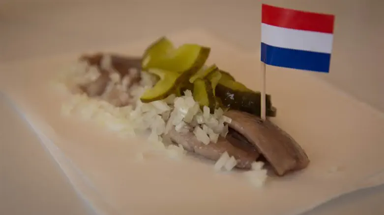 דג הרינג הולנדי