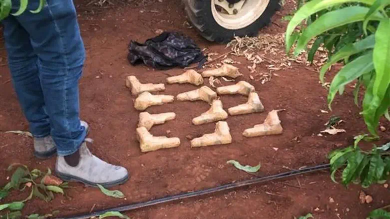 האקדחים שנתפסו