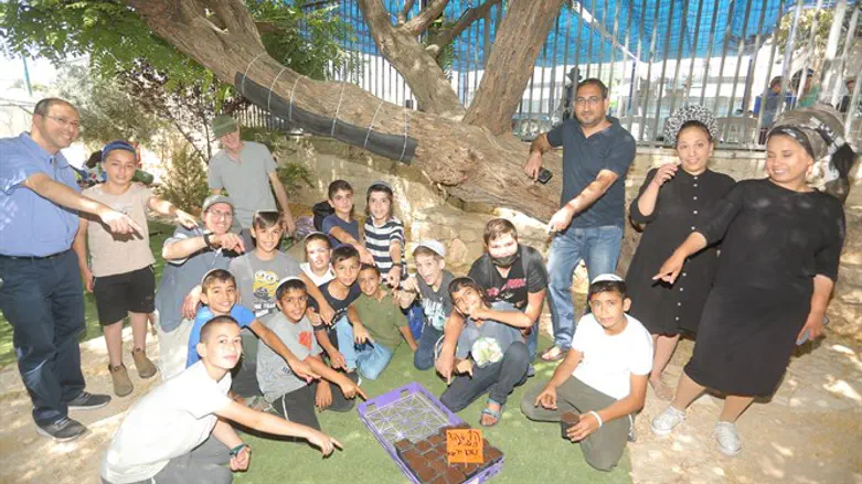 בית הספר נעם