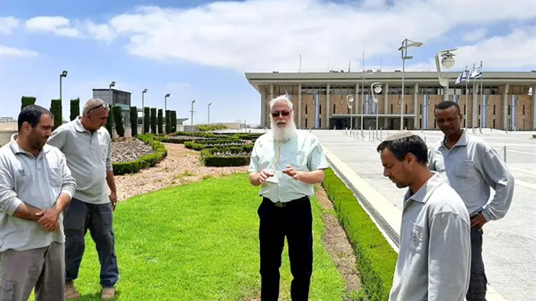 ההדרכה לקראת השמיטה