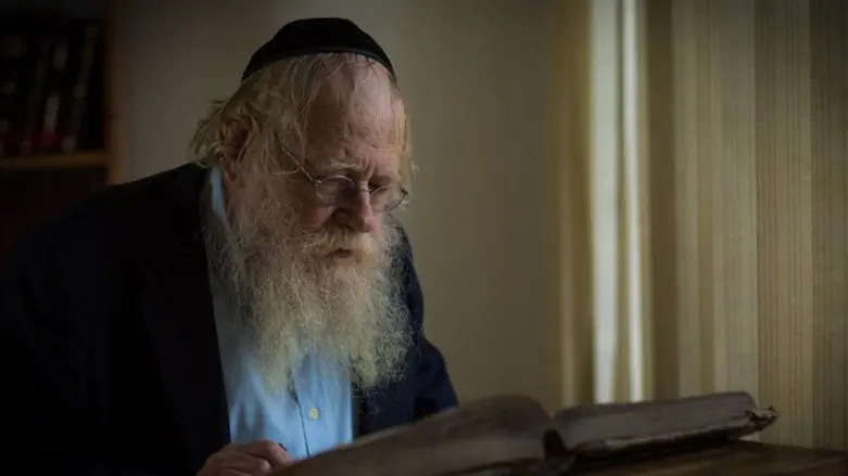 הרב עדין אבן ישראל (שטיינזלץ)