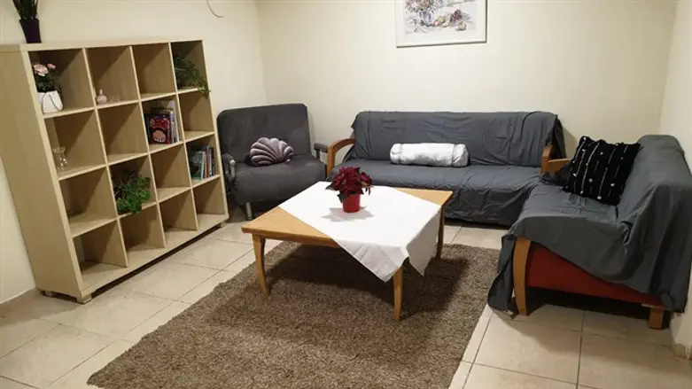 The new shelter