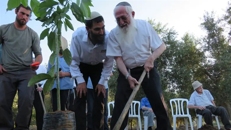 הרב אליעזר והרב נעם ולדמן