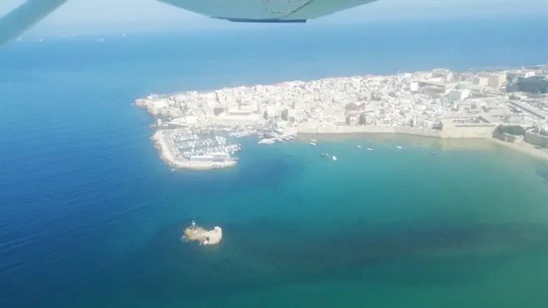 מדוזות אי הזבובים