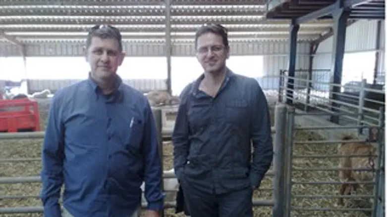 עורך מבט בשומרון