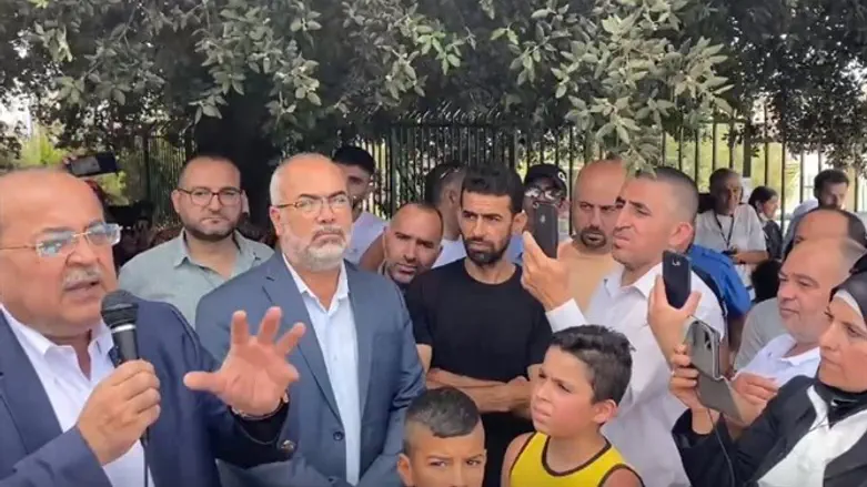 טיבי וסעדי בהפגנה