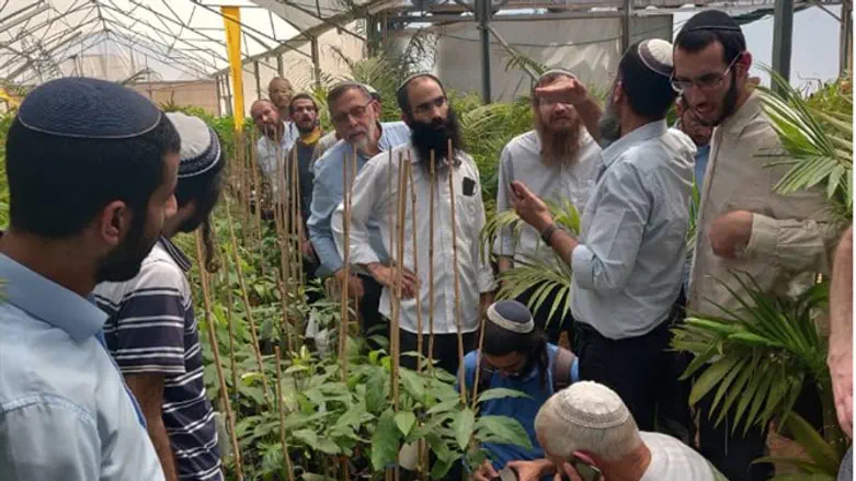 תלמידי ישיבת בית אל בסיור במשתלה