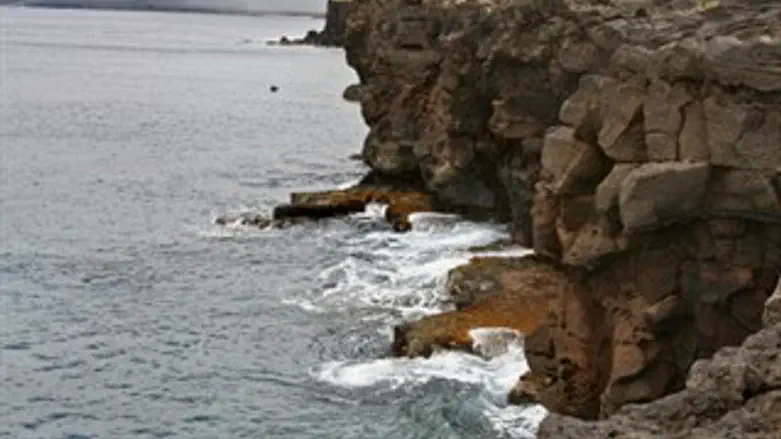 אילוסטרציה