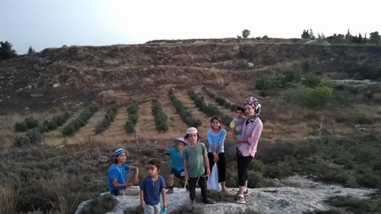 כרם משפחת רודיק בעמונה