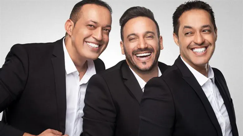 הפרויקט של רביבו