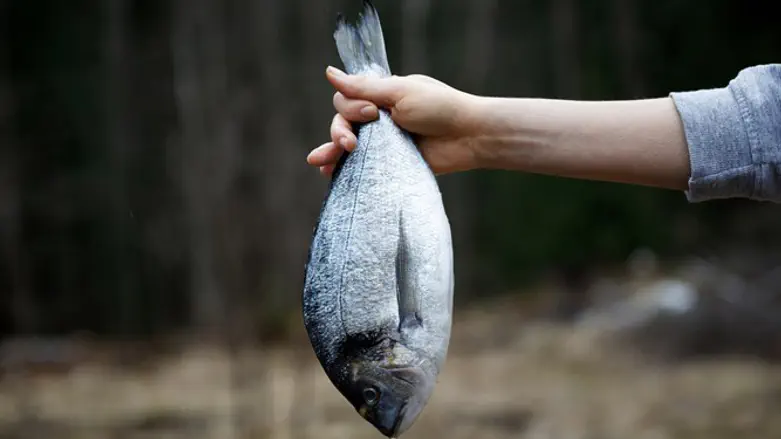 מצליחים לשרוד נפילה מגובה רב