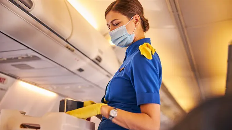 Стюардесса (файл)