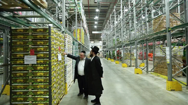 תמונת אילוסטרציה. למצולמים אין קשר לידיעה