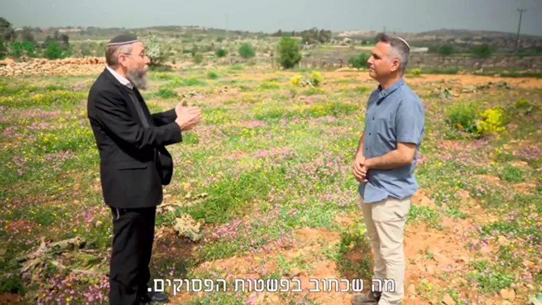 הרב יוסף צבי רימון וד"ר אלישיב (שיבי) דרורי
