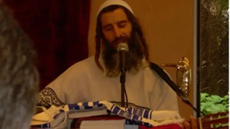 ארז לבנון הי"ד