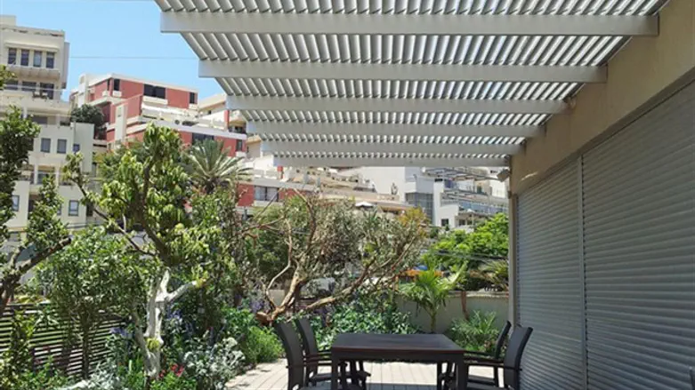 פרגולה
