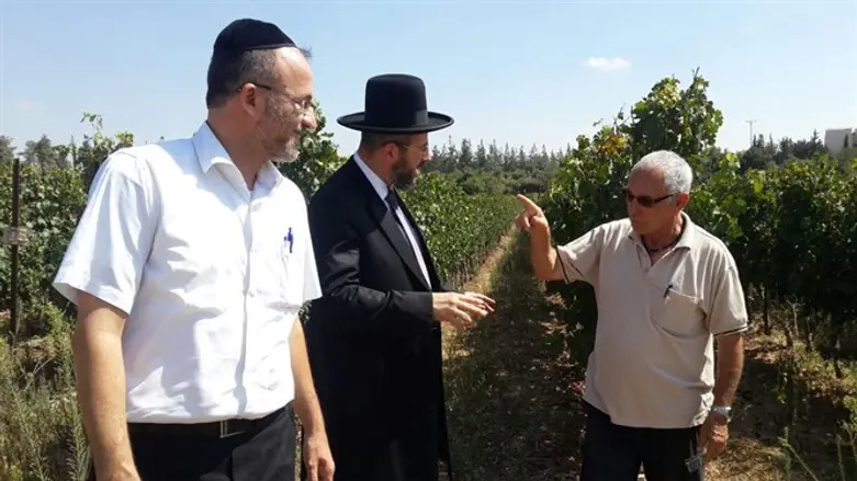 הרב לאו עם החקלאים